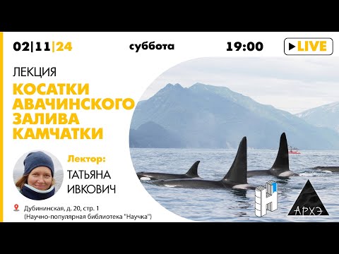 Видео: Лекция "Косатки Авачинского залива Камчатки" Татьяны Ивкович