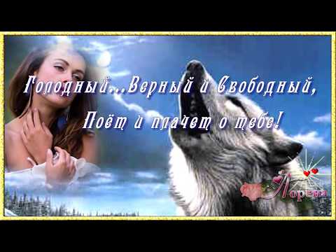 Видео: ТАНГО ОДИНОКОГО ВОЛКА...🍃🌸💕Love💕🌸🍃 монтаж  ЛОРЕНА
