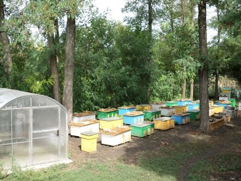 Видео: Изготовление ульев из пенополиуретана в домашних условиях