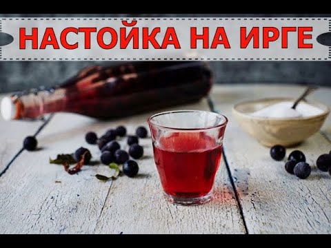 Видео: НАСТОЙКА НА ИРГЕ