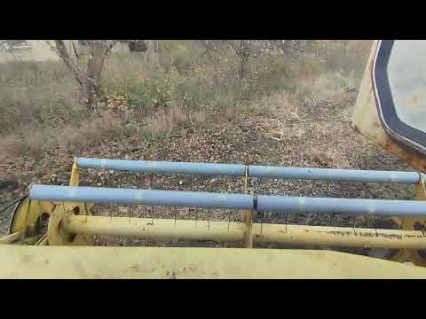 Видео: Хутір продав-останній раз збираю урожай біля нього.2.11.2025.