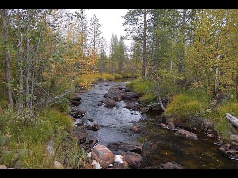 Видео: Ручьи Кольского полуострова.  Центр.  Мончегорск.  Слайды с озвучкой.  19. 10. 25.