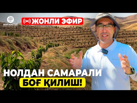 Видео: Нолдан Самарали Боғ Қилиш! #shuhratabrorov #noldanbog