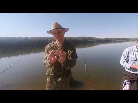 Видео: Рыбалка на озере Бузим   Июнь 2019