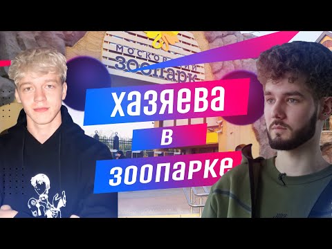 Видео: ХАЗЯЕВА в ЗООПАРКЕ / ХОЗЯЕВА катаются на аттракционах ПАРАДЕИЧ / Влад Куертов / плохой парень