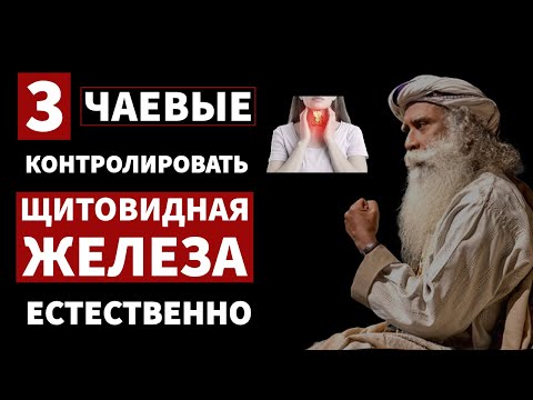 Видео: как разум создает и лечит болезни в теле? | Здоровье | ft.Садхгуру