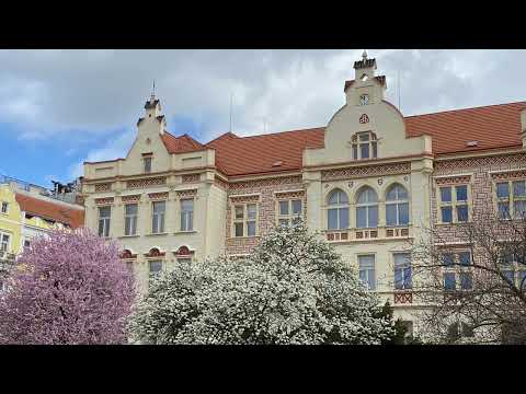 Видео: [Аудио] В Чехии одни расисты? Комфортно ли в Чехии? Реальные примеры | Olinka