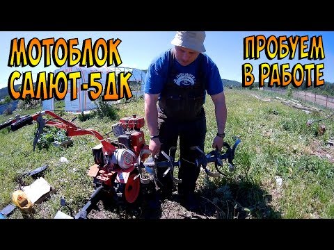 Видео: Мотолок Салют-5дк. Начало длительного теста.