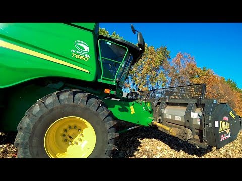 Видео: Разница всходов пшеницы между анкерными и дисковыми сошниками. Не дорогая модернизация сеялки NIKA/