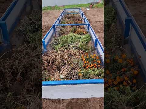 Видео: Высокая и теплая грядка Хольцера с беструбной дренажной канавой. Прикамье, юг, деревня Марково. 