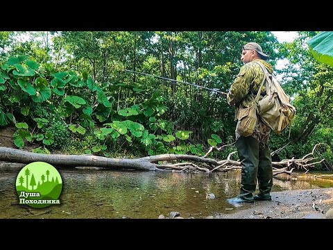 Видео: Деревенская рыбалка на мелочёвку удалась! Вкуснейший рыбный бутерброд у костра!