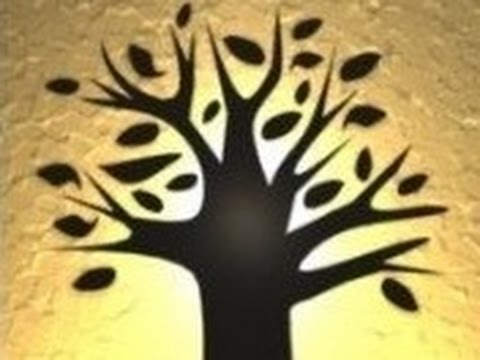 Видео: Схема мироздания, урок 5