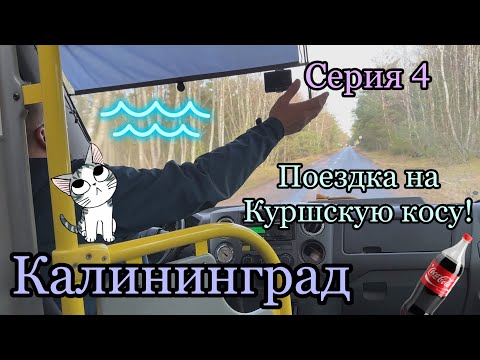 Видео: Калининград. Поехали на Куршскую косу! Море, залив, кола и цеппелины.