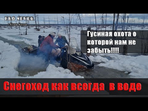 Видео: 6 гусей на 5 выстрелов. Охота на гусей на тундре. Охота гуси видео. Охота весной на далеком севере.