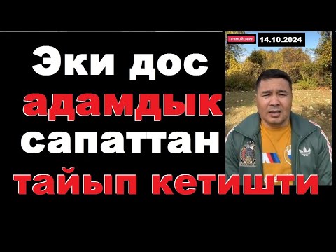 Видео: Эки дос адамдык сапаттан тайып кетишти. Түз эфир.