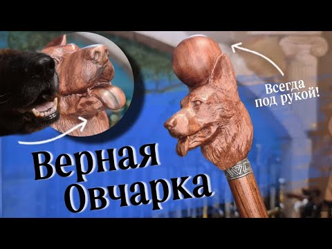 Видео: Трость с головой собаки | Овчарка с шаром