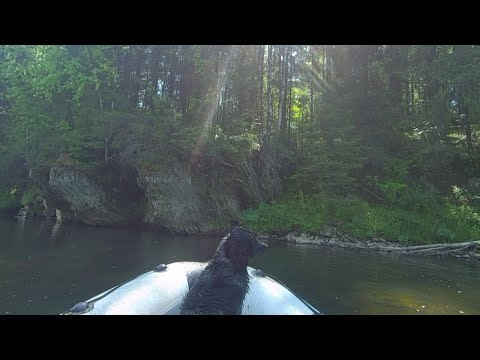Видео: Не совсем одиночный сплав по реке Койва
