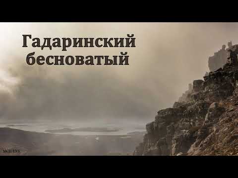 Видео: "Гадаринский бесноватый". Е. А. Чмых. МСЦ ЕХБ