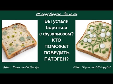 Видео: Микробиология органической грядки №838/25