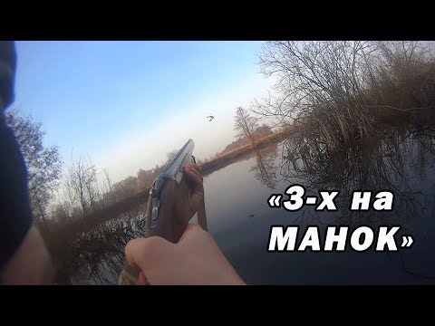 Видео: Охота на селезня с манком 2018 г. "Подманил троих за утро"