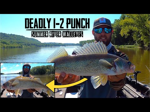 Видео: СМЕРТЕЛЬНЫЙ 1-2 удара для летнего речного судака!