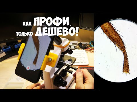 Видео: На что способен микроскоп SVBONY, доработка и реальное использование.