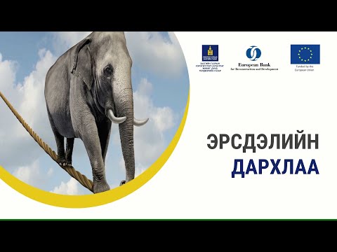 Видео: 5-4. Эрсдлийн дархлаа