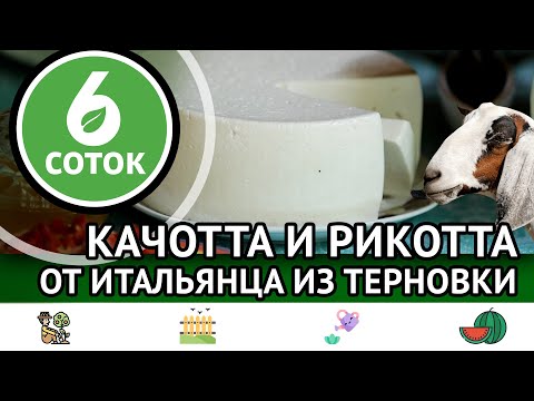 Видео: Качотта и рикотта от итальянца из Терновки. 6 соток 02.09.2024