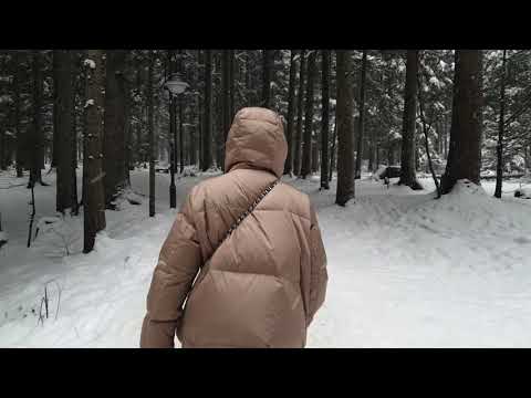 Видео: Метель  в Сходнице. Источники 1с, 13, 3, 1, 10.