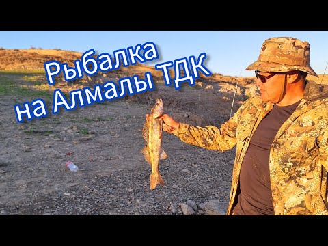 Видео: Рыбалка на Алмалы ТДК, лето 2025. Балық аулау сәттері. #рыбалка #судак #балықшы 