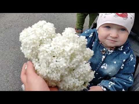 Видео: УТРО В ПЕТЕРБУРГЕ🌤️НАШ ДЕНЬ