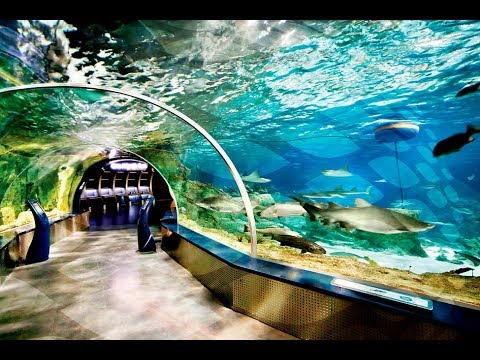 Видео: НЕПОЗНАТАТА  ТУРЦИЯ - част втора +++++ ИСТАНБУЛ , АКВАРИУМ  ФЛОРИЯ