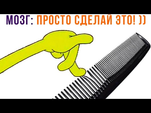 Видео: НЕТ ВРЕМЕНИ ОБЪЯСНЯТЬ! ))) | Приколы | Мемозг 1255