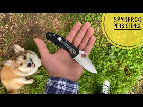 Видео: Нож Spyderco Persistence Lightweight VS Tenacious обзор, сравнение