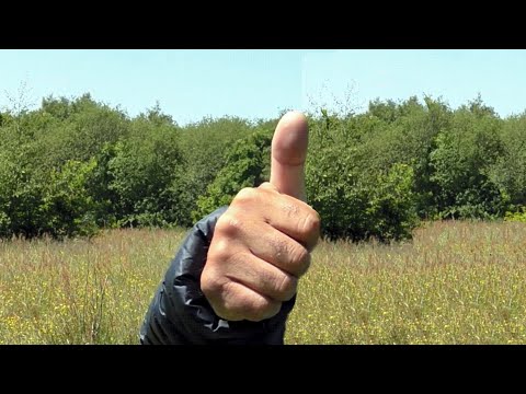 Видео: Измерьте расстояние без математики, без карты, без компаса