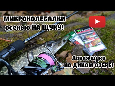 Видео: МИКРОКОЛЕБАЛКИ осенью НА ЩУКУ! Ловля щуки НА ДИКОМ ОЗЕРЕ!