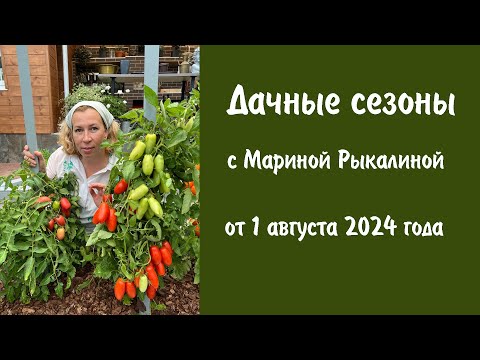 Видео: Дачные сезоны с Мариной Рыкалиной от 1 августа 2024 года