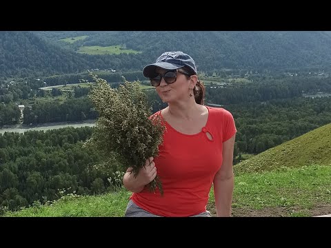 Видео: Weekend на Алтае. Поход на Чертов палец. Манжерок - курорт для богатых.