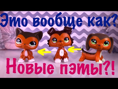 Видео: LPS: ЭТО ВООБЩЕ КАК? (РАСПАКОВКА #5)