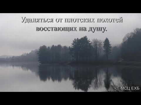 Видео: "Удаляться от плотских похотей восстающих на душу". А. И. Бублик. МСЦ ЕХБ.