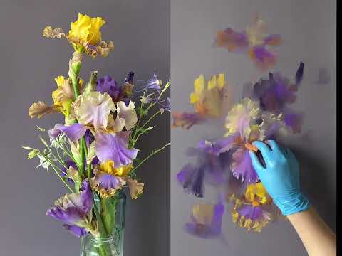 Видео: How to paint Irises with soft pastel / Как рисовать ирисы пастелью