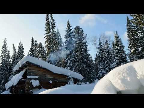 Видео: ОХОТА В ЗИМНЕМ ЛЕСУ