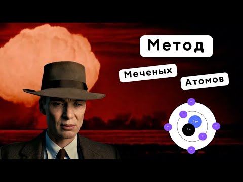 Видео: Метод Меченых Атомов на ЕГЭ по Биологии | Всего за 5 минут