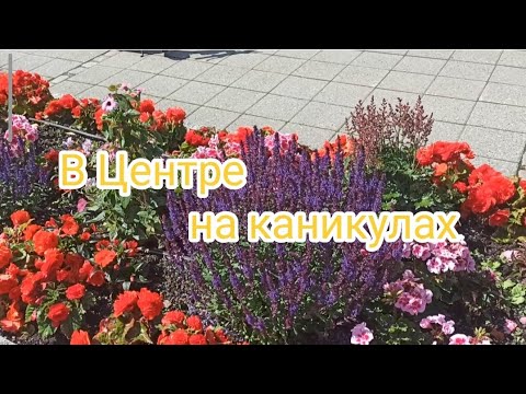 Видео: В Центре города на каникулах 🇧🇻 Всё дела и дела 😉❤️ Путь один, но...