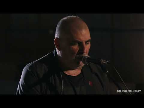 Видео: Остава - Поля от слънчогледи (Musicology live sessions)
