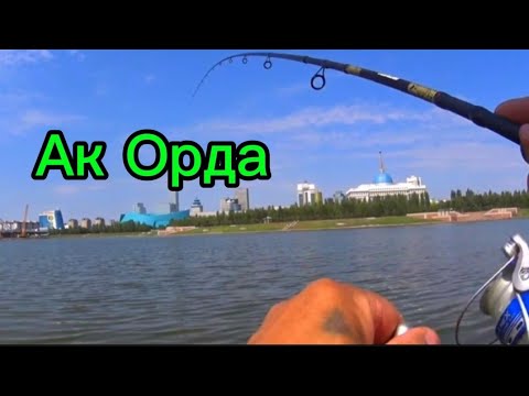 Видео: Рыбалка на реке Ишим! Ловля карпа на фидер! fideer fishing г.Астана Ак-Орда