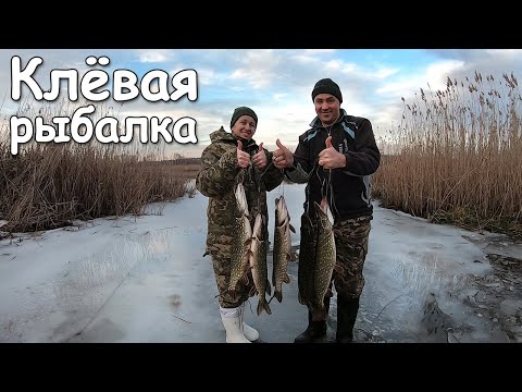 Видео: Жор щуки в январе. О такой рыбалке можно только мечтать