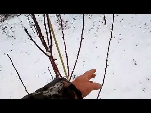 Видео: как из стройного веретена создать формировку Би баум?