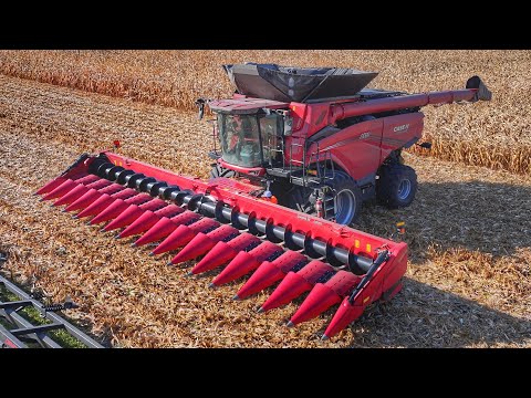 Видео: НОВЫЙ комбайн CASE IH AF10 с 16-рядной кукурузоуборочной жаткой выдаёт более 8000 бушелей/час | Б...