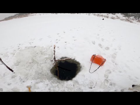 Видео: Рыбалка у чёрной дыры первая серия